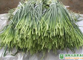 鐘祥市柴湖鎮(zhèn)蒜薹大量上市 ()