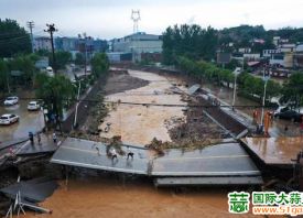 河南突遭強(qiáng)降雨大蒜暫停交易 ()