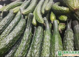 蒜薹：庫存、鮮貨銷售行情冰火兩重天 ()