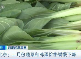 大慶：蔬菜價格上漲明顯 ()