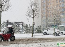 河南3月飄雪 蒜苗還好嗎？ ()